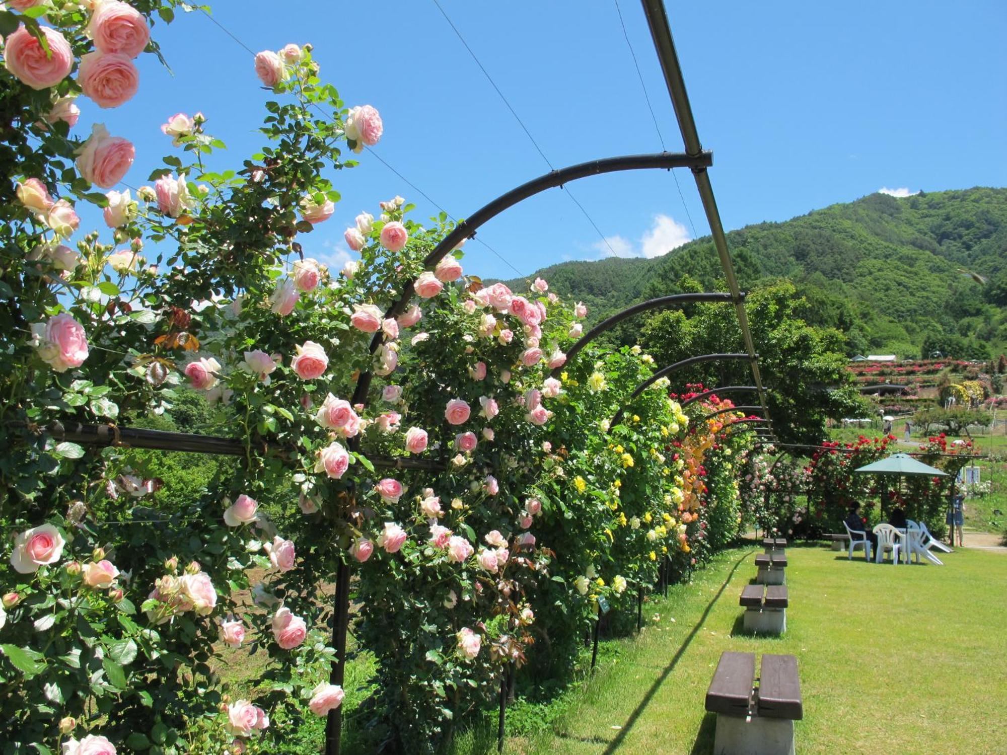 Hotel Yoshinotei Iida Esterno foto